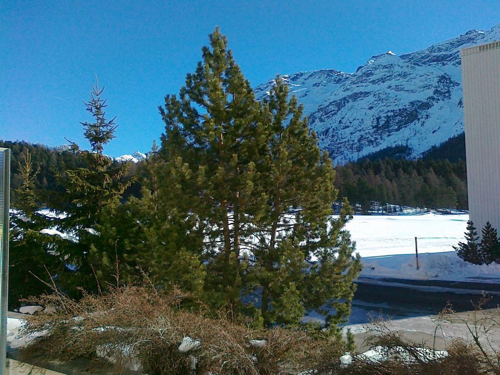 Studio Champfer St. Moritz Exteriör bild
